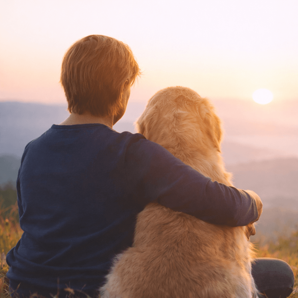 Comfort Corner — find peace in conversation